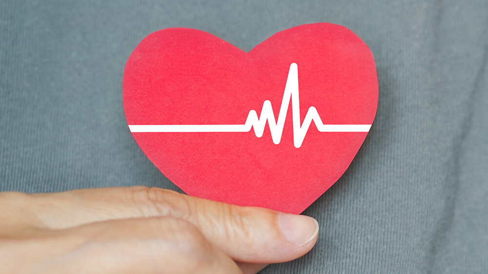 Person Holding Red Heart